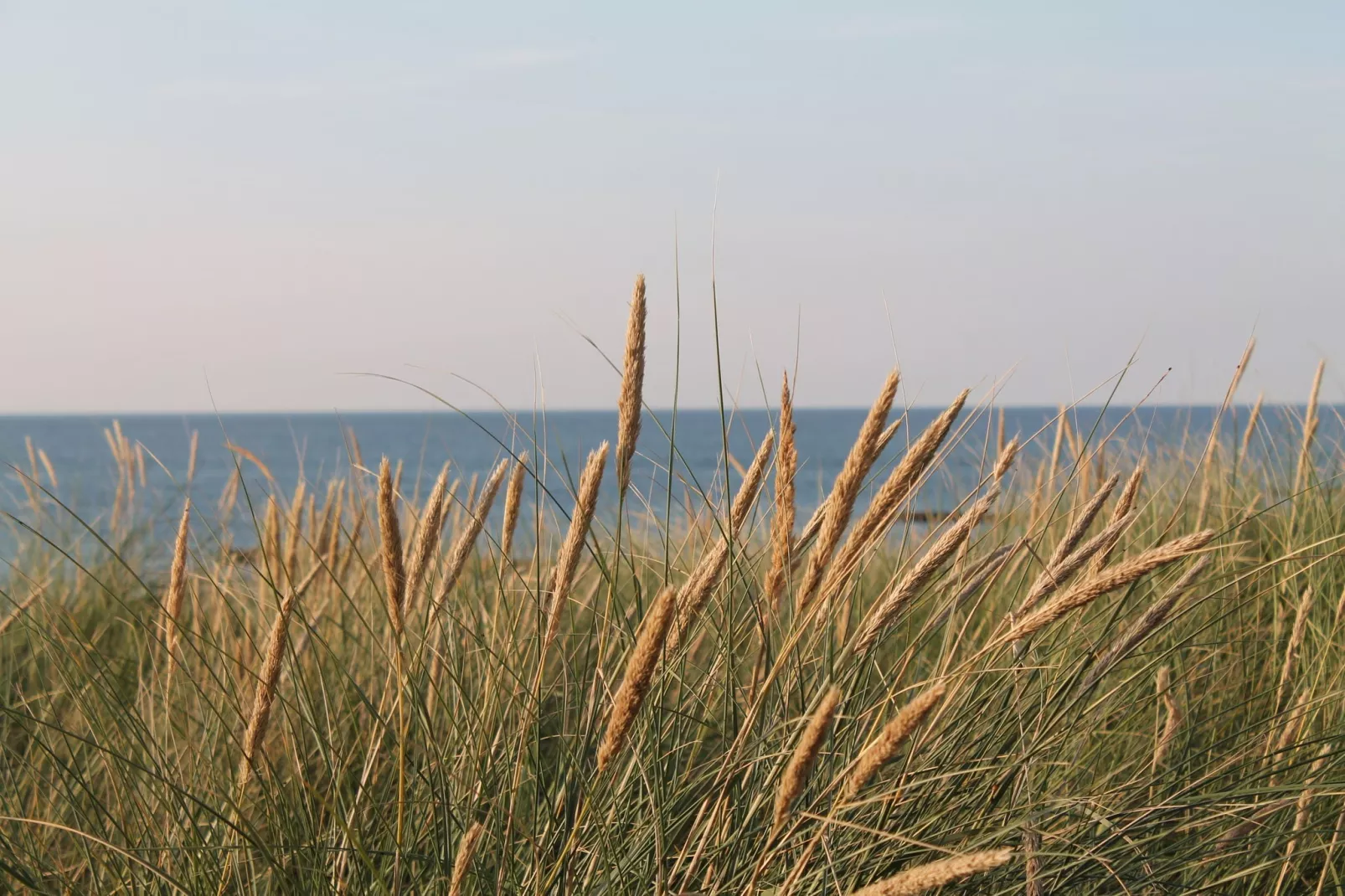 Arko 2 dicht am feinsandigen Strand-Areas summer 1km