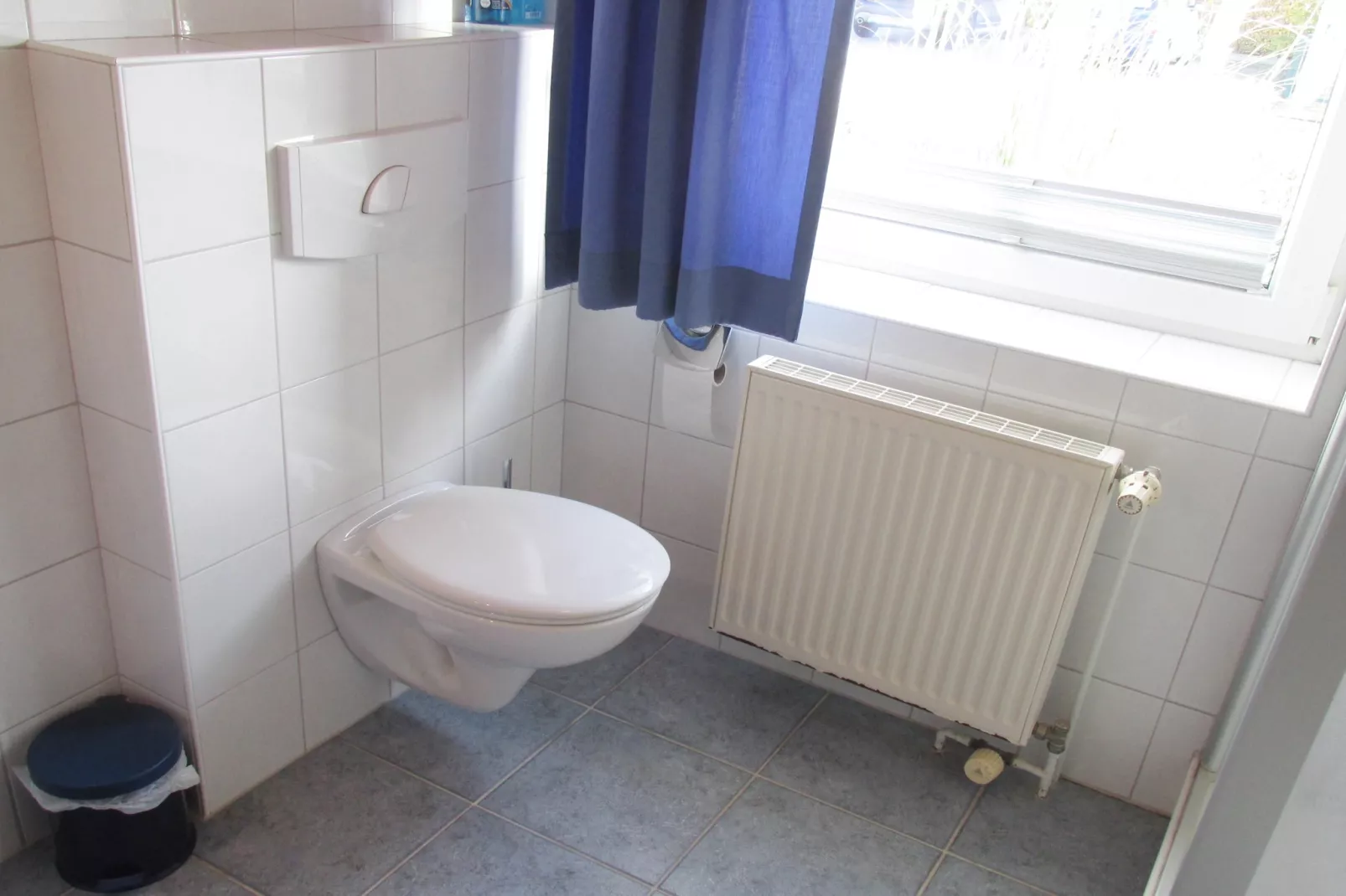 Ferienhaus 06 Marintje-Bathroom