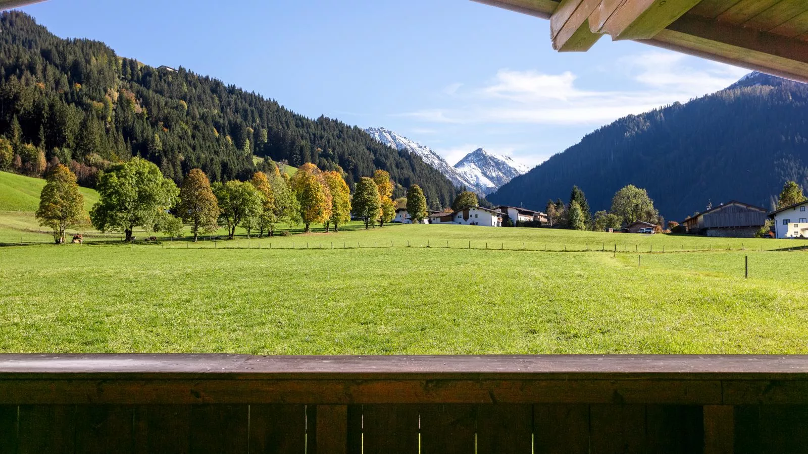 viewsummer
