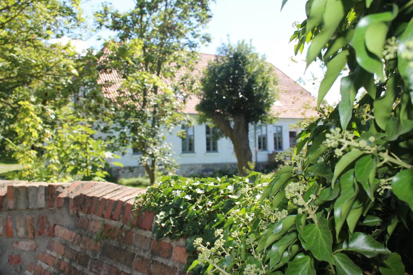 Steffen-Exterior summer