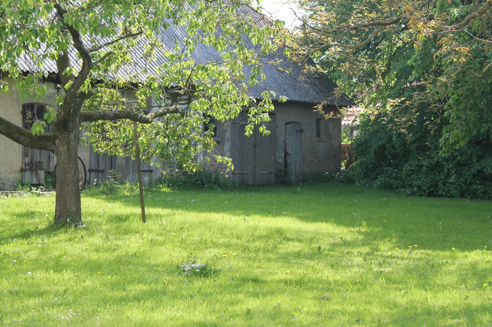 Steffen-Gardens summer