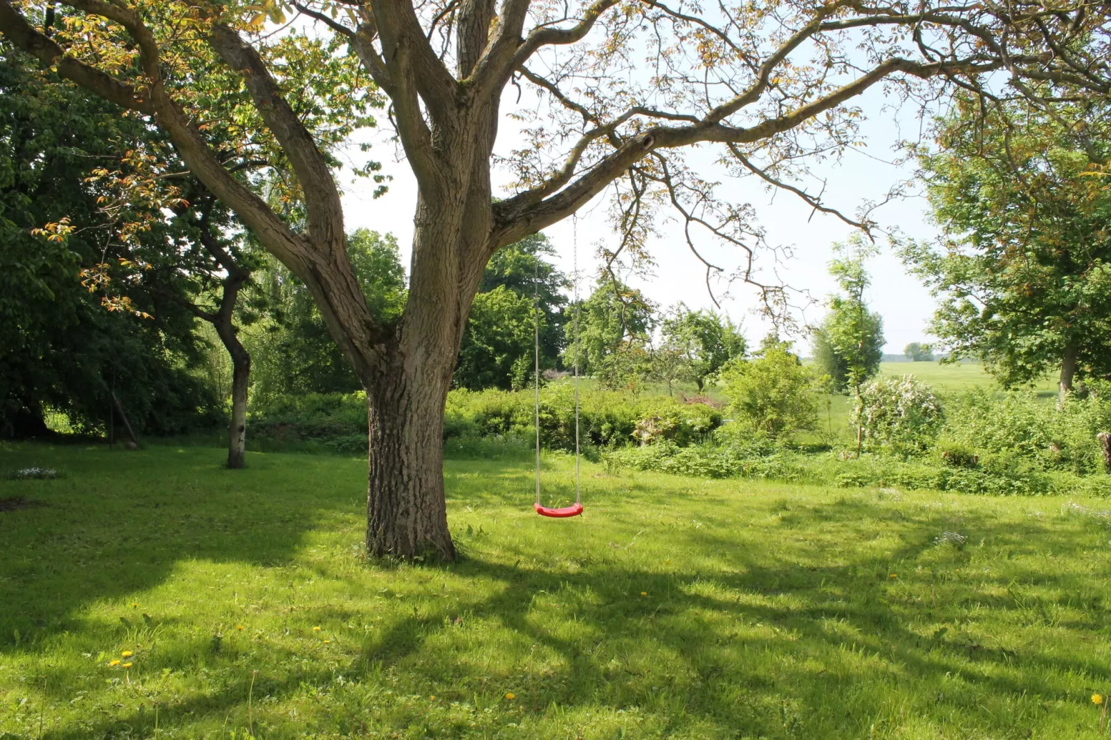 Steffen-Gardens summer