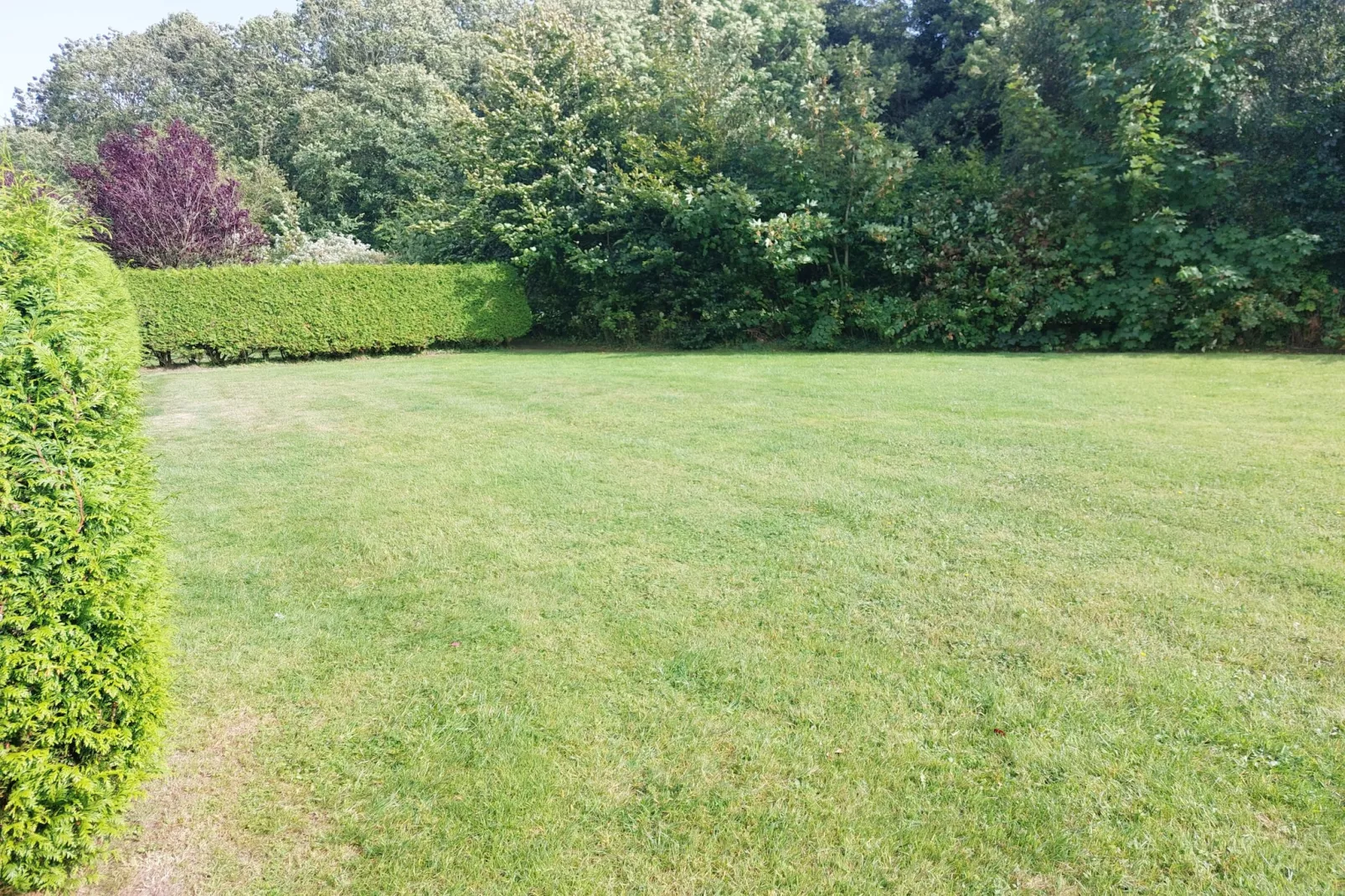 Doppelhaushälfte Wattwurm 34-Gardens summer