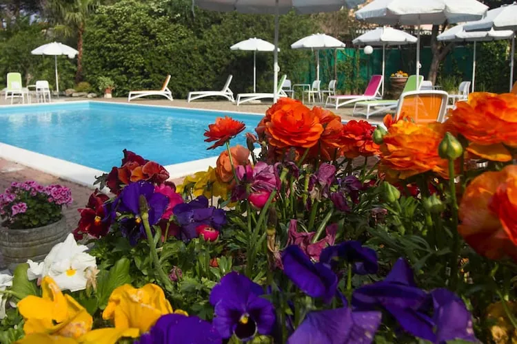 Villa Paola Loano - Type BX4-Piscine