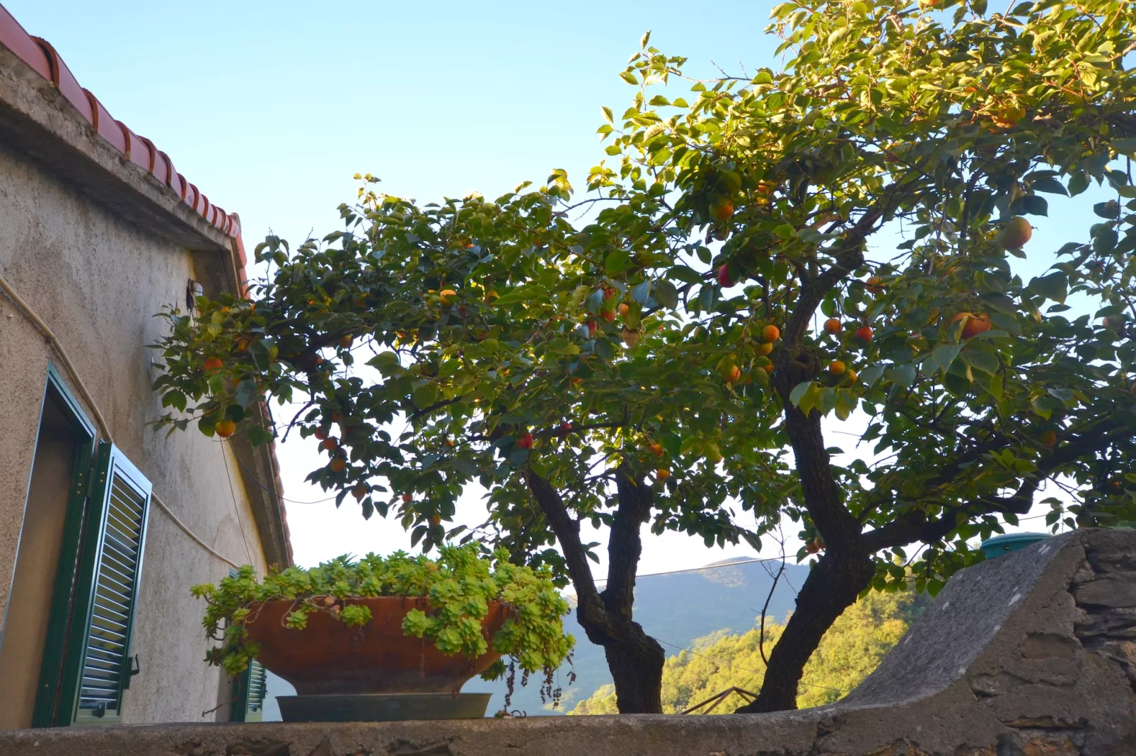 Casa del Pastore-Exterior summer