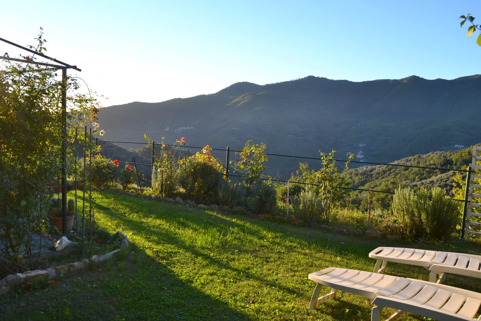 Casa del Pastore-Gardens summer