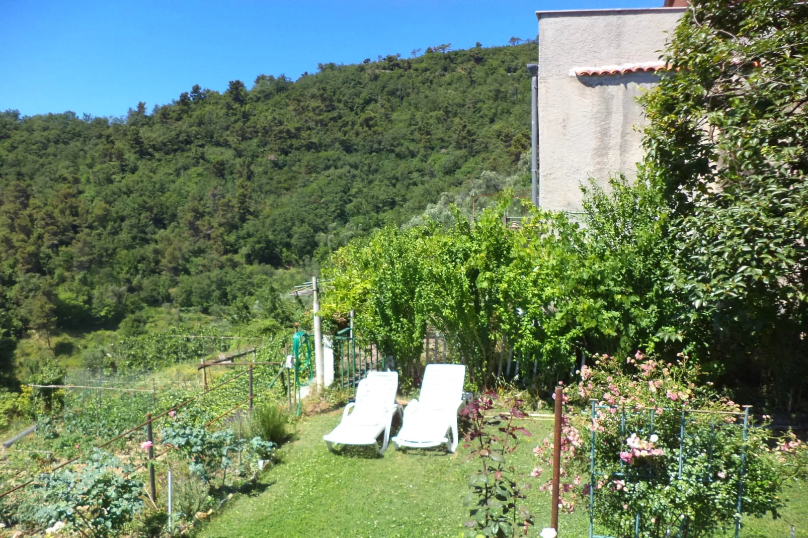 Casa del Pastore-Gardens summer