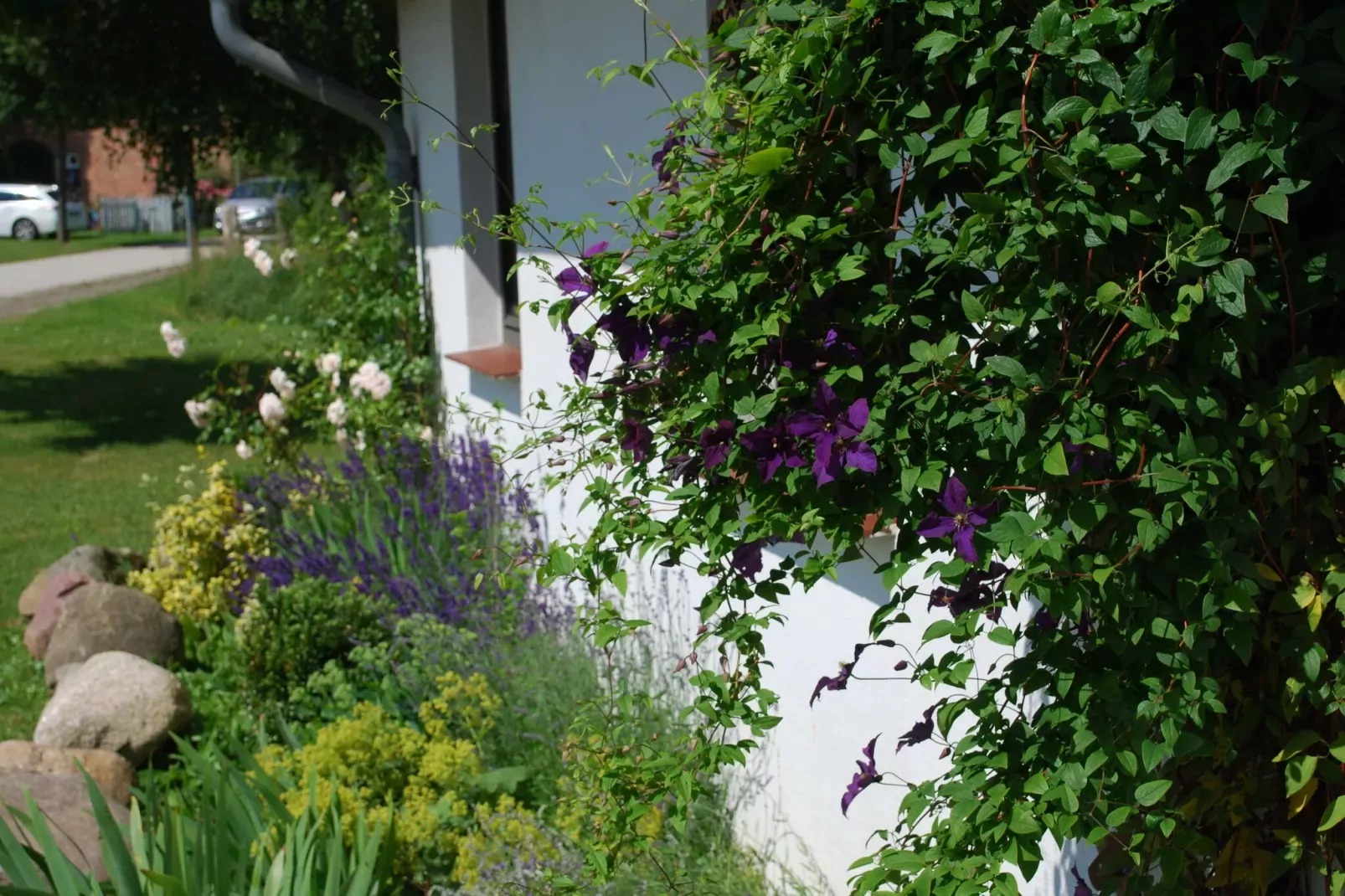 Wohnung Dänholm-Gardens summer