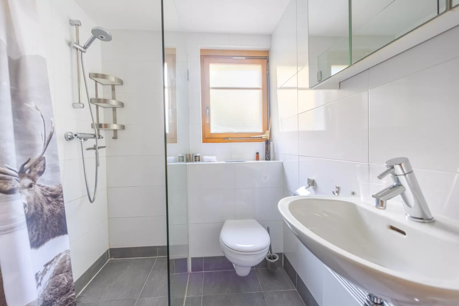 Chalet Verrel - beneden-Badezimmer