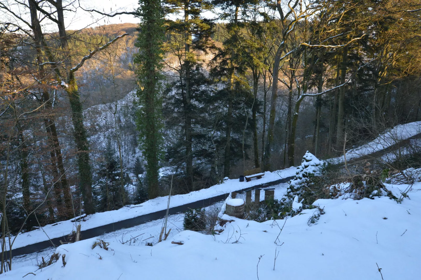 Ferienwohnung Weitblick I und II-Area winter 1km