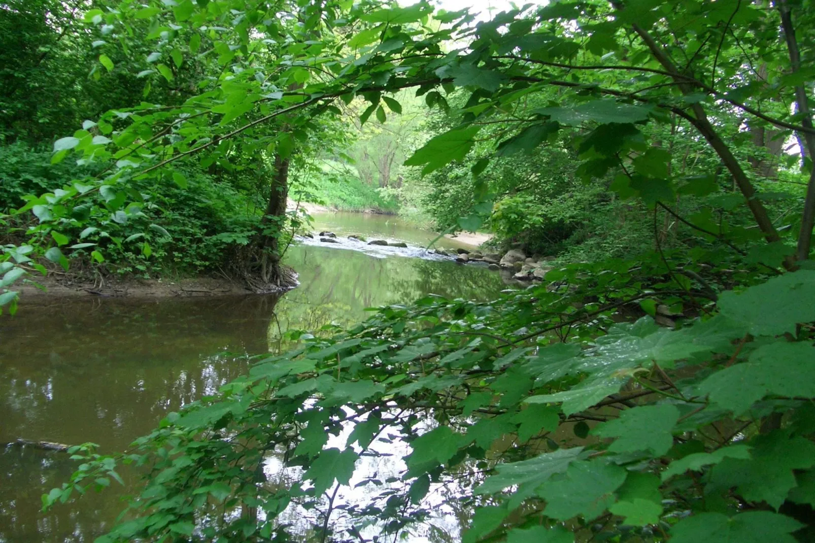 Am Hellbachtal Nr 1-Areas summer 1km