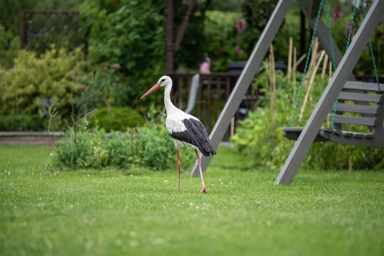 Osada Trzy Siostry domek nr 4 dla 6 osób Dąbrowa-Gardens summer