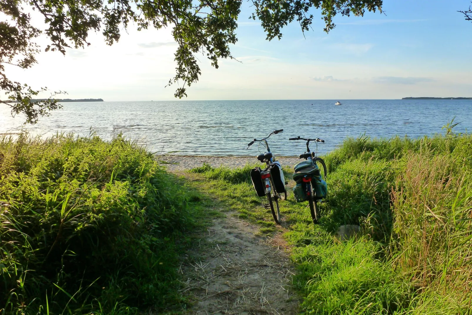 Baltic Hus-Areas summer 1km