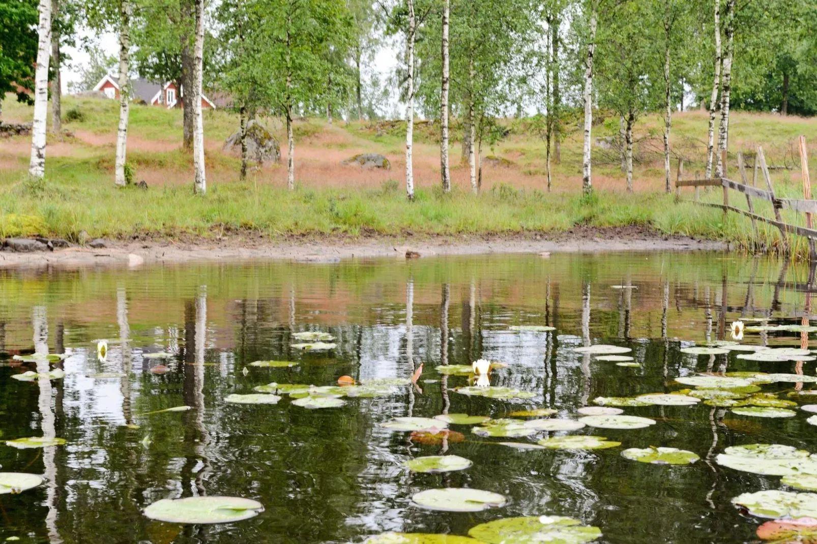 6 person holiday home in LÅNGARYD-By Traum-Water view