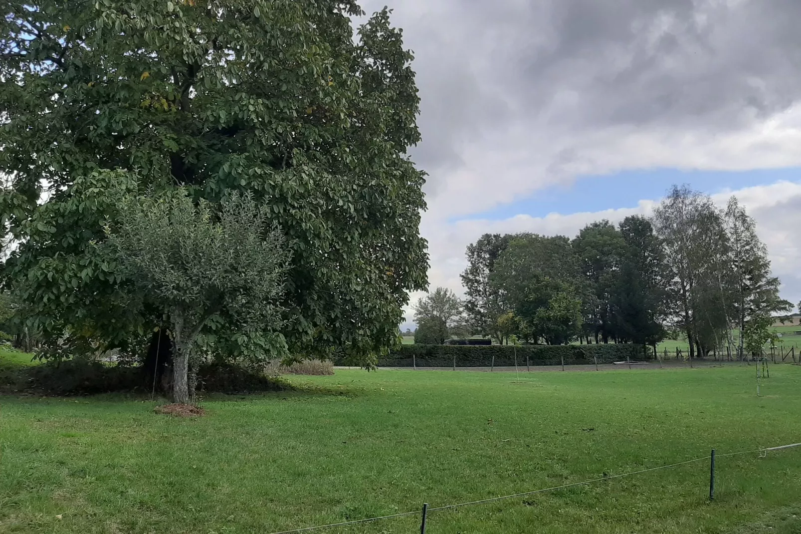 Ferienhaus Nattenheim-Aussicht Sommer