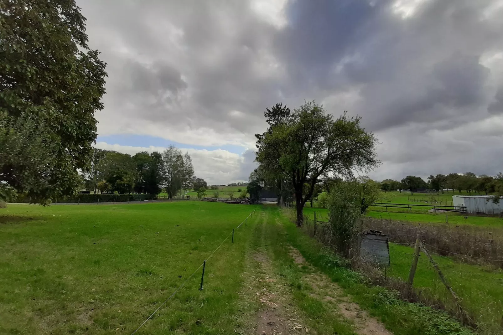 Ferienhaus Nattenheim-Aussicht Sommer