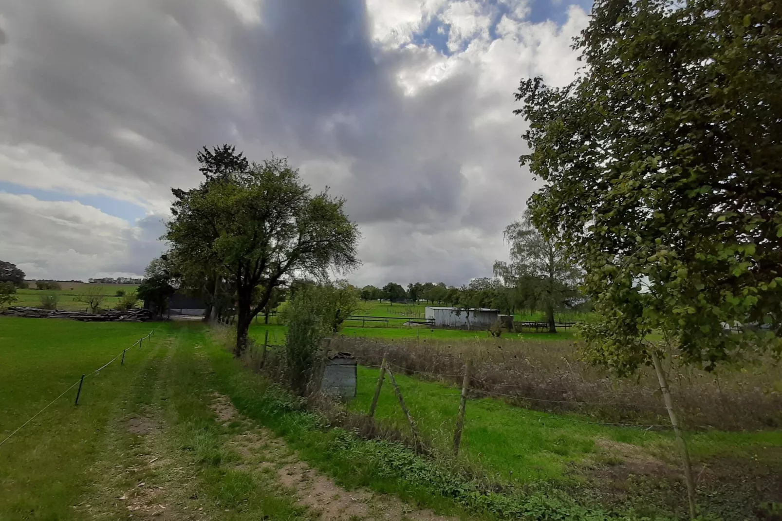 Ferienhaus Nattenheim-Gebiete Sommer 1 km