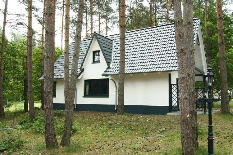 Doppelhaushälfte Typ 2 55 qm-Exterior summer