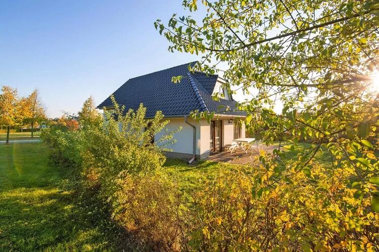 Ferienhaus Typ C 100 qm