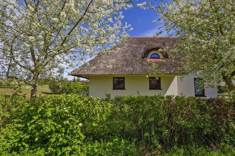 Ferienhaus Typ C 100 qm