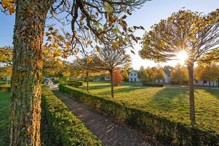 Ferienhaus Typ C 100 qm-Gardens in summer