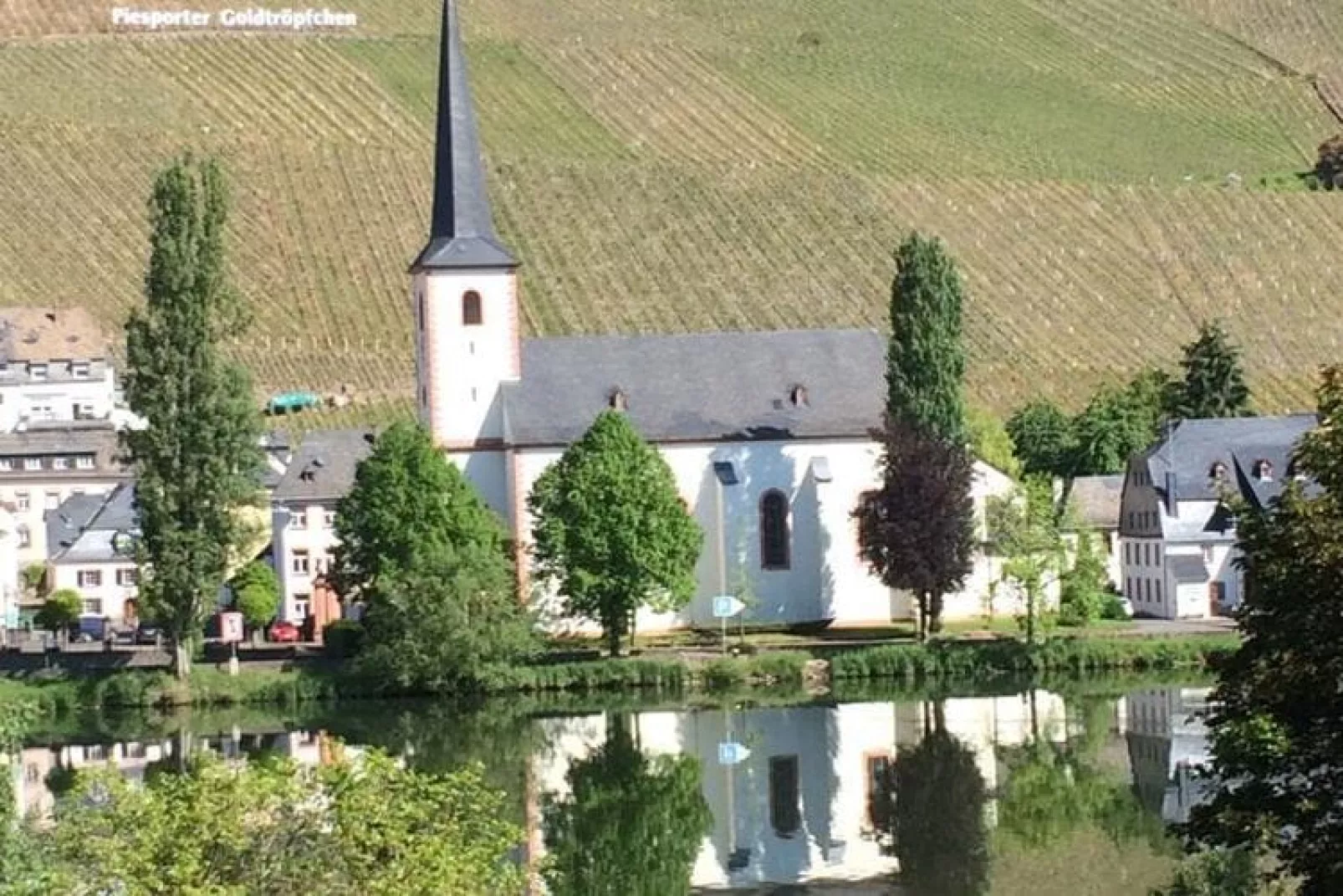 Ferienwohnung mit Moselblick-Not tagged