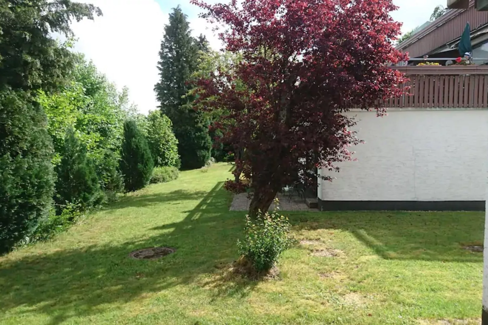gardensummer