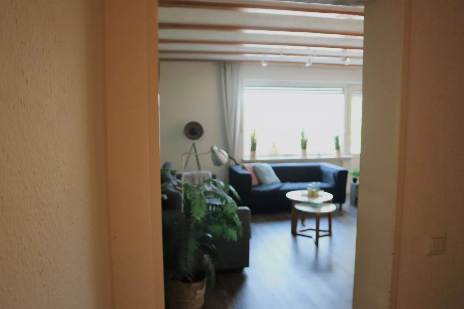 Flora-Living room
