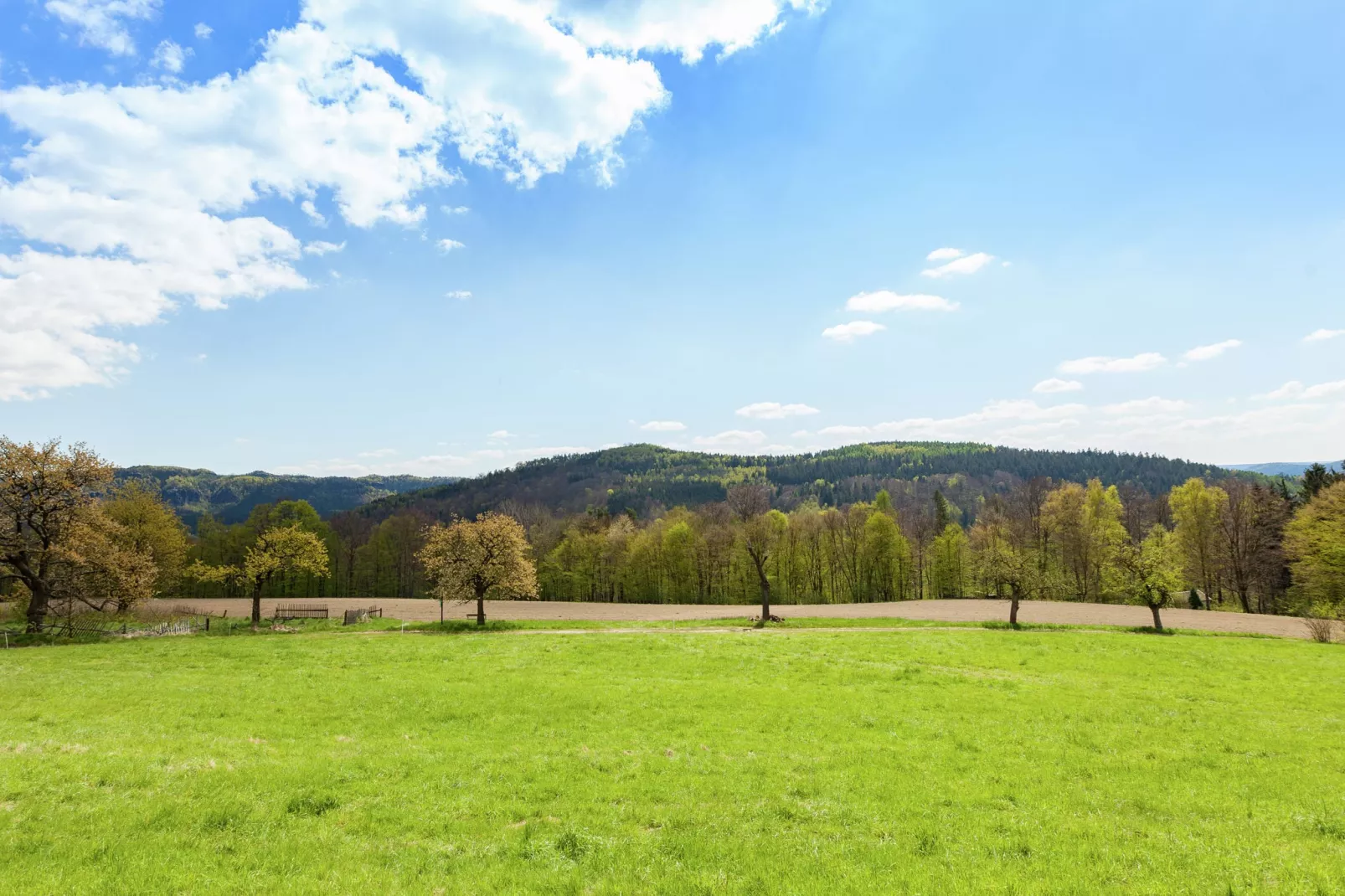 Sächsische Schweiz-Gebiete Sommer 1 km