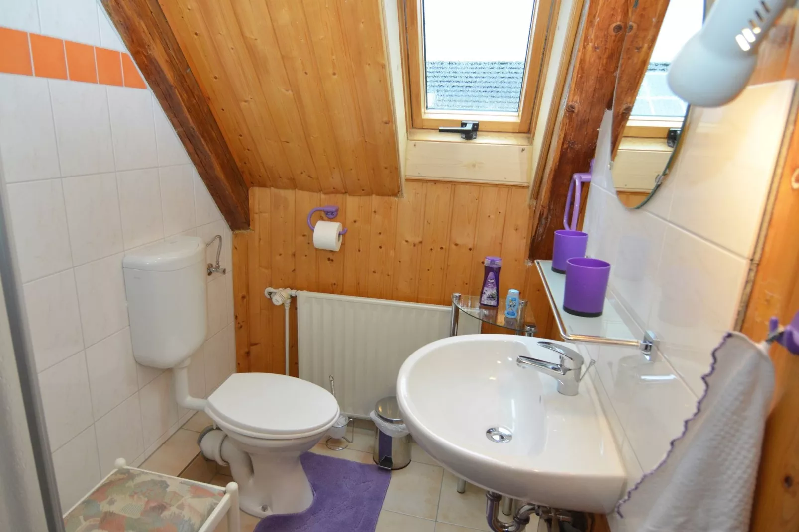 Sächsische Schweiz-Bathroom