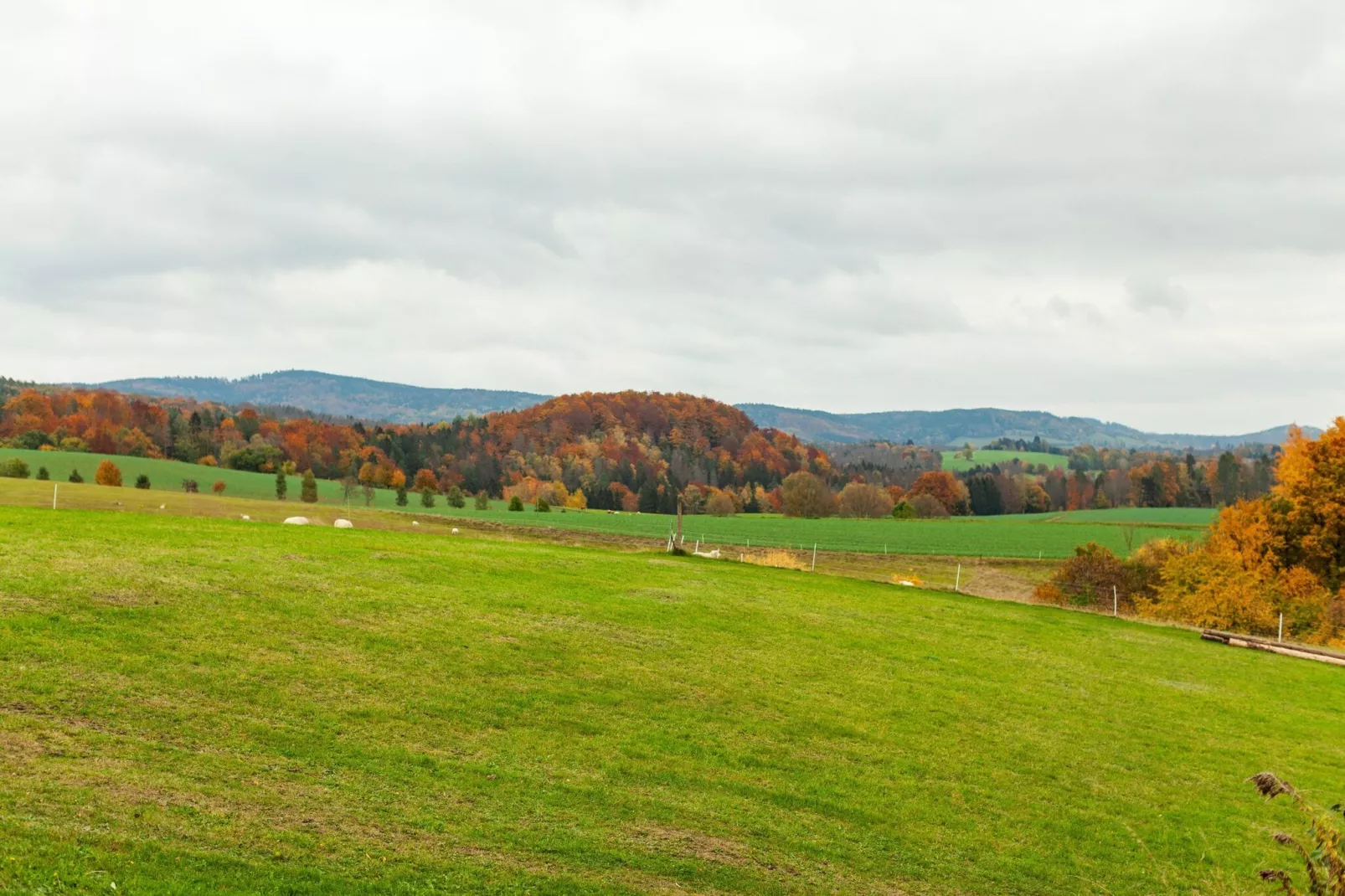 Ferienwohnung Frembgen-View summer
