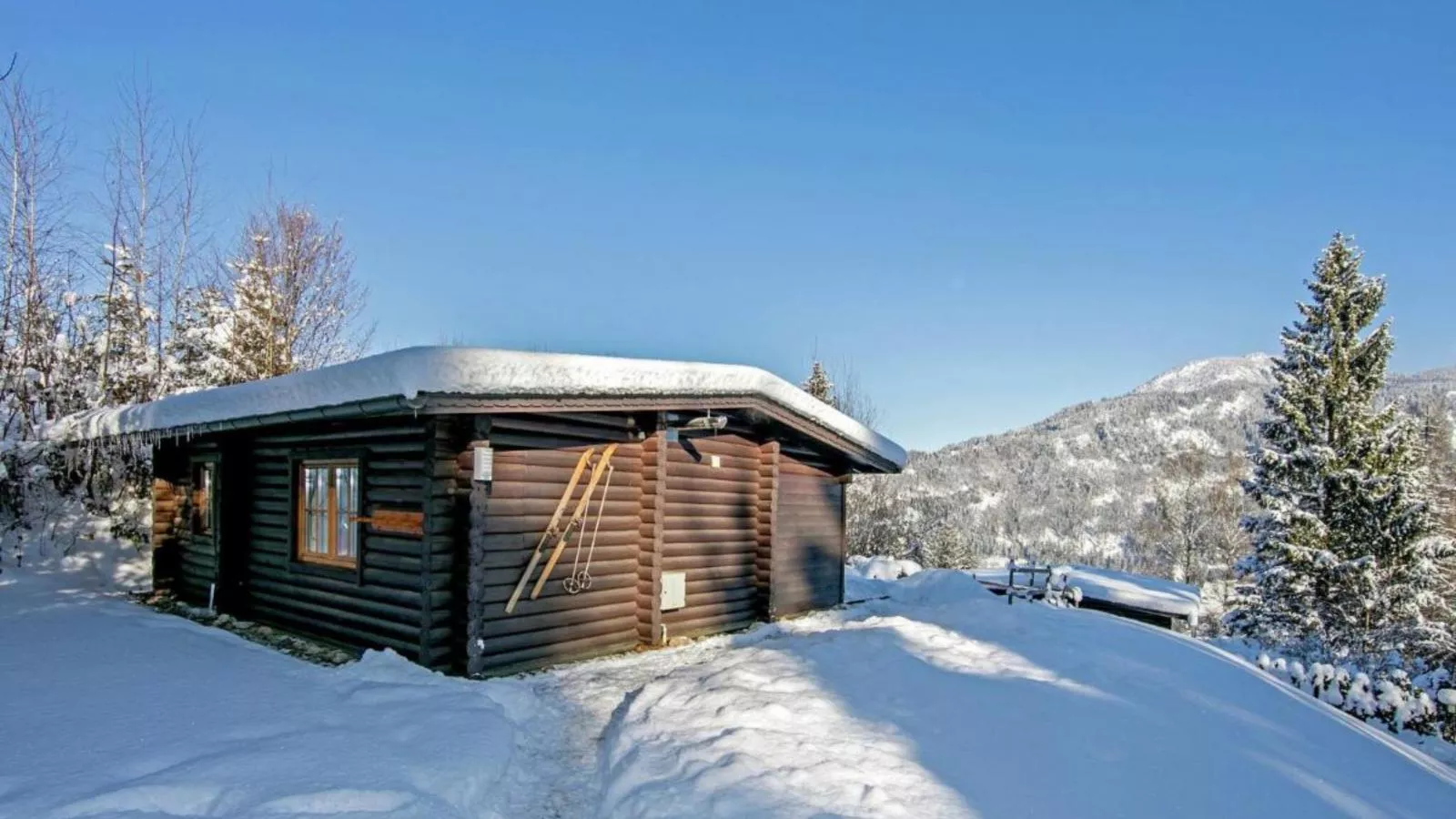 Yosi im Brixental-Exterior winter