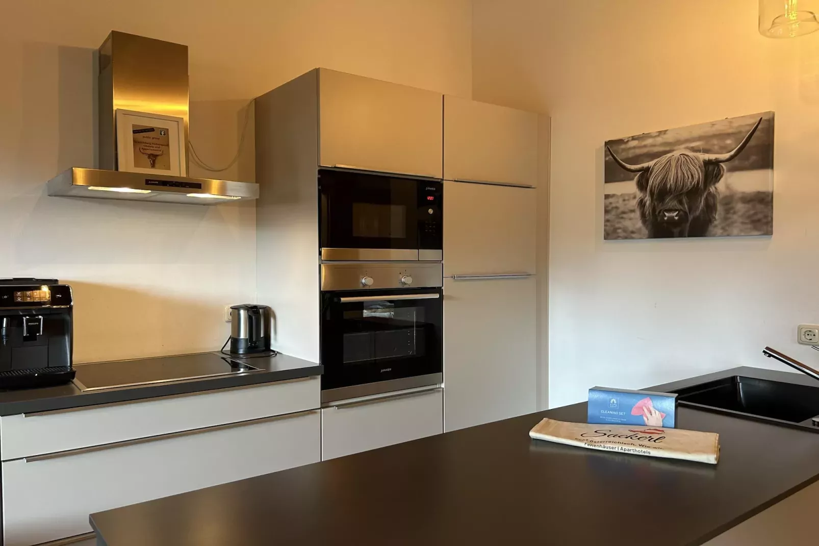 Kreischberg Apartments 2-Kitchen