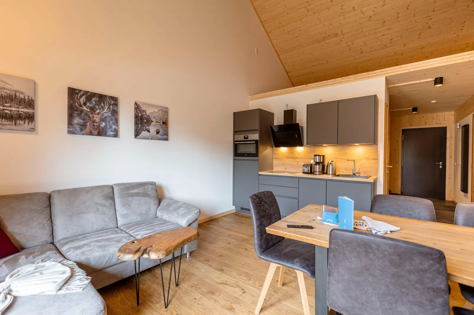 Kreischberg Apartments 4-Living room