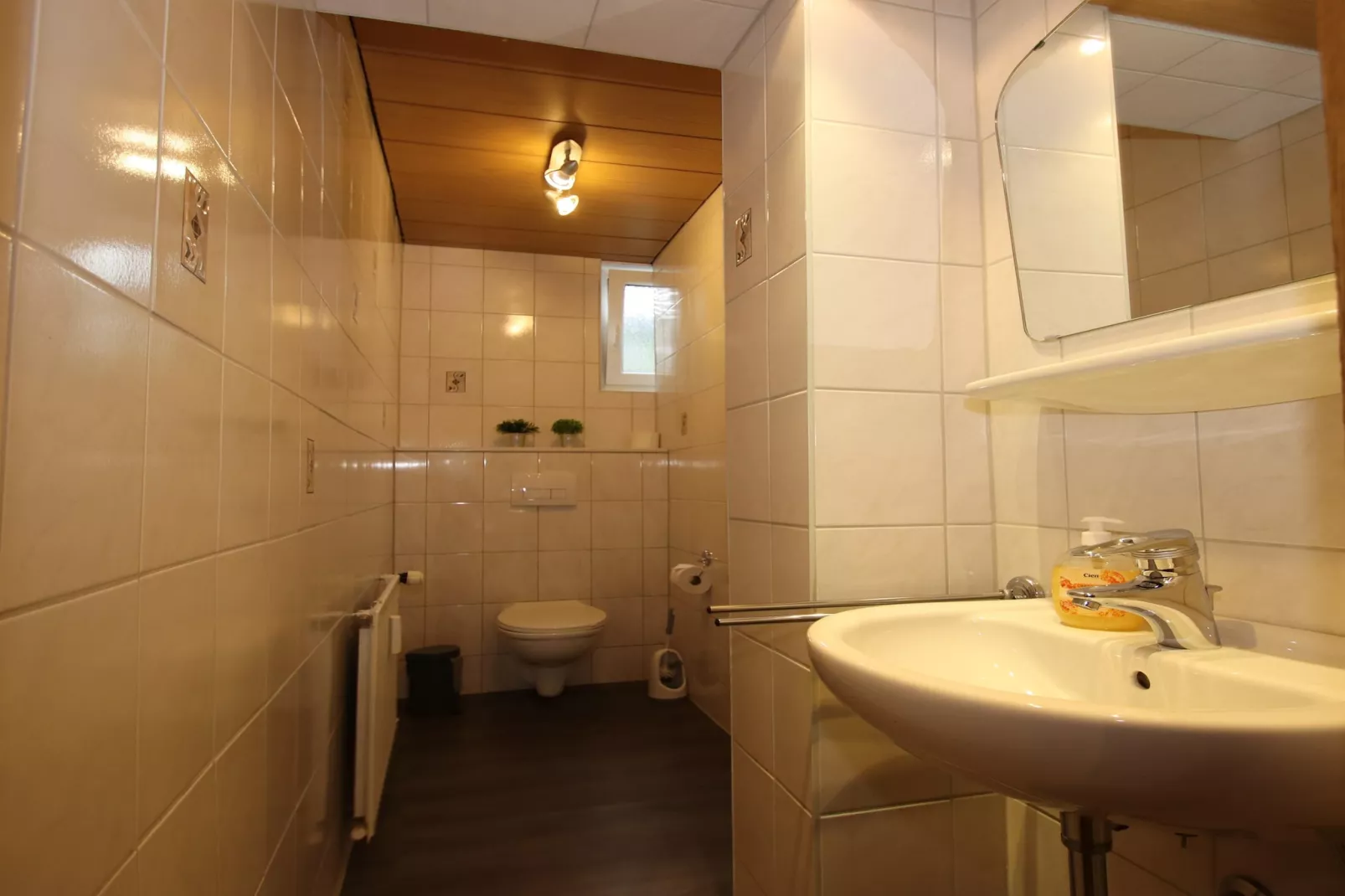 Bärenhütte 9 Personen-Bathroom