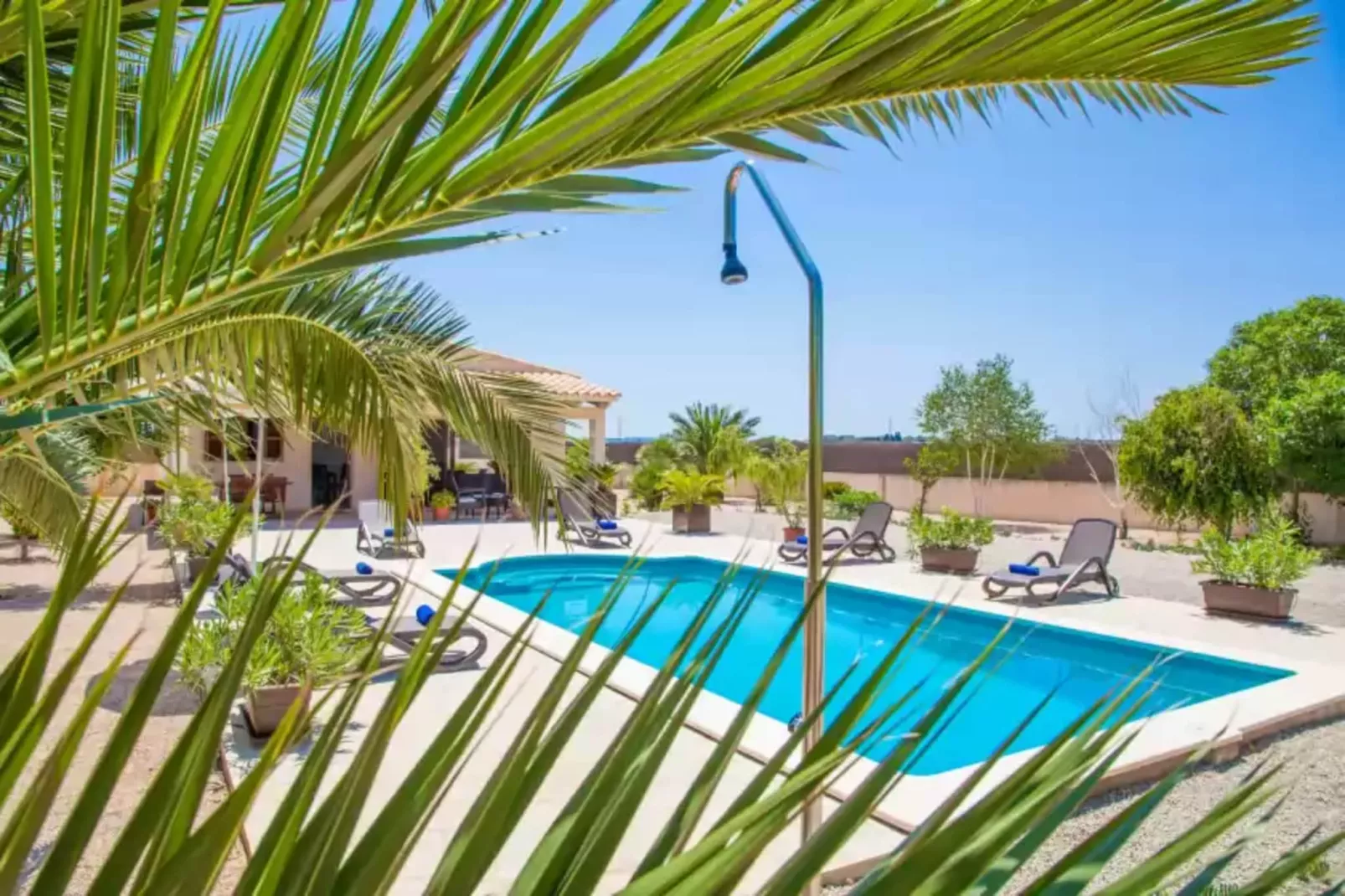 Can Melis-Pool
