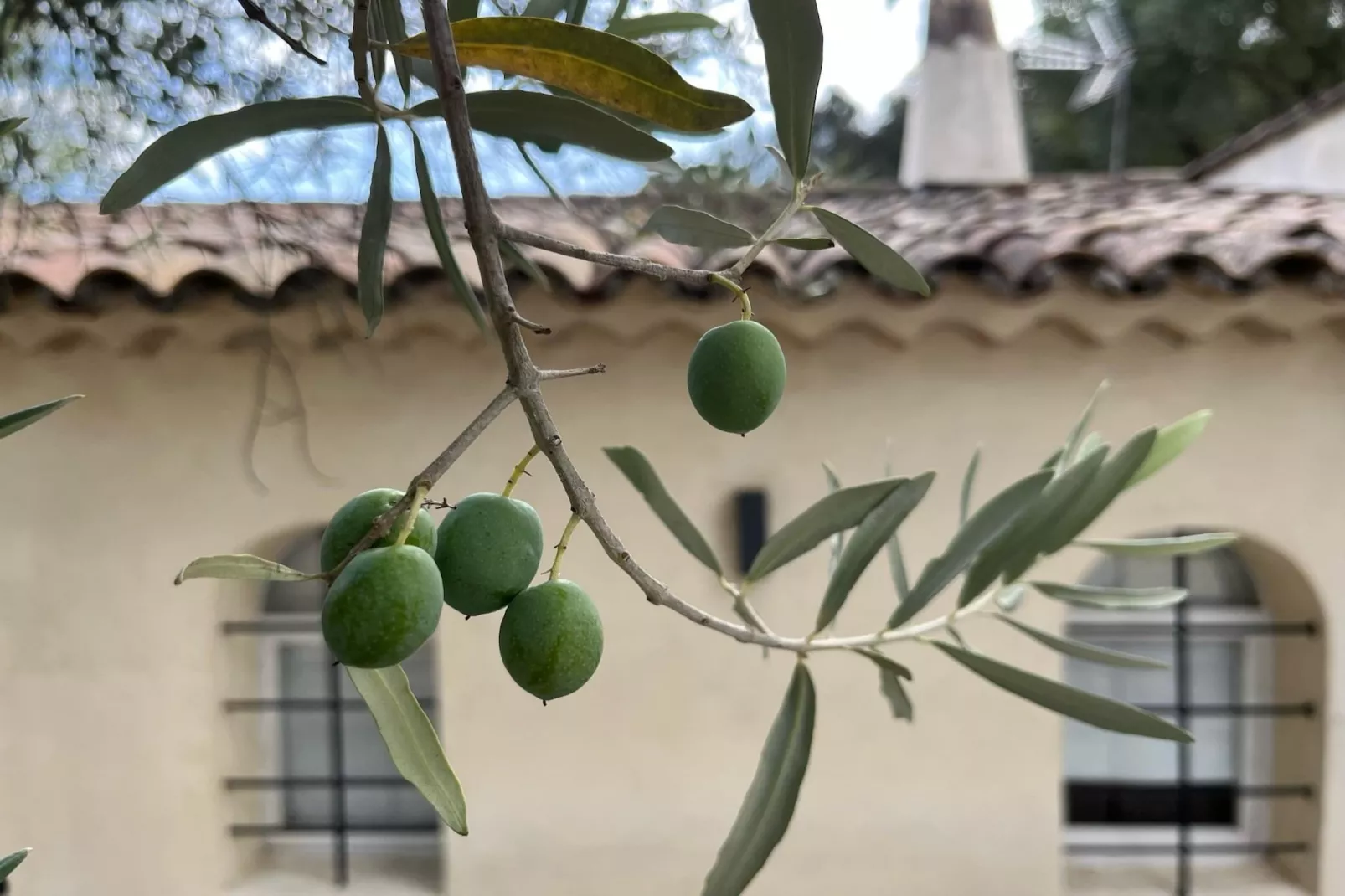 Le Pailliou-Ambiance