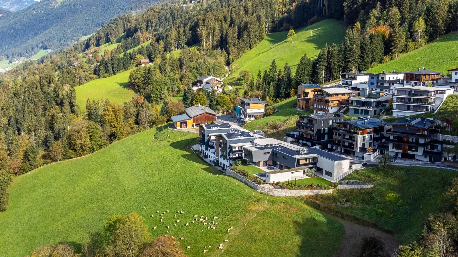 Steiner-Areas summer 1km