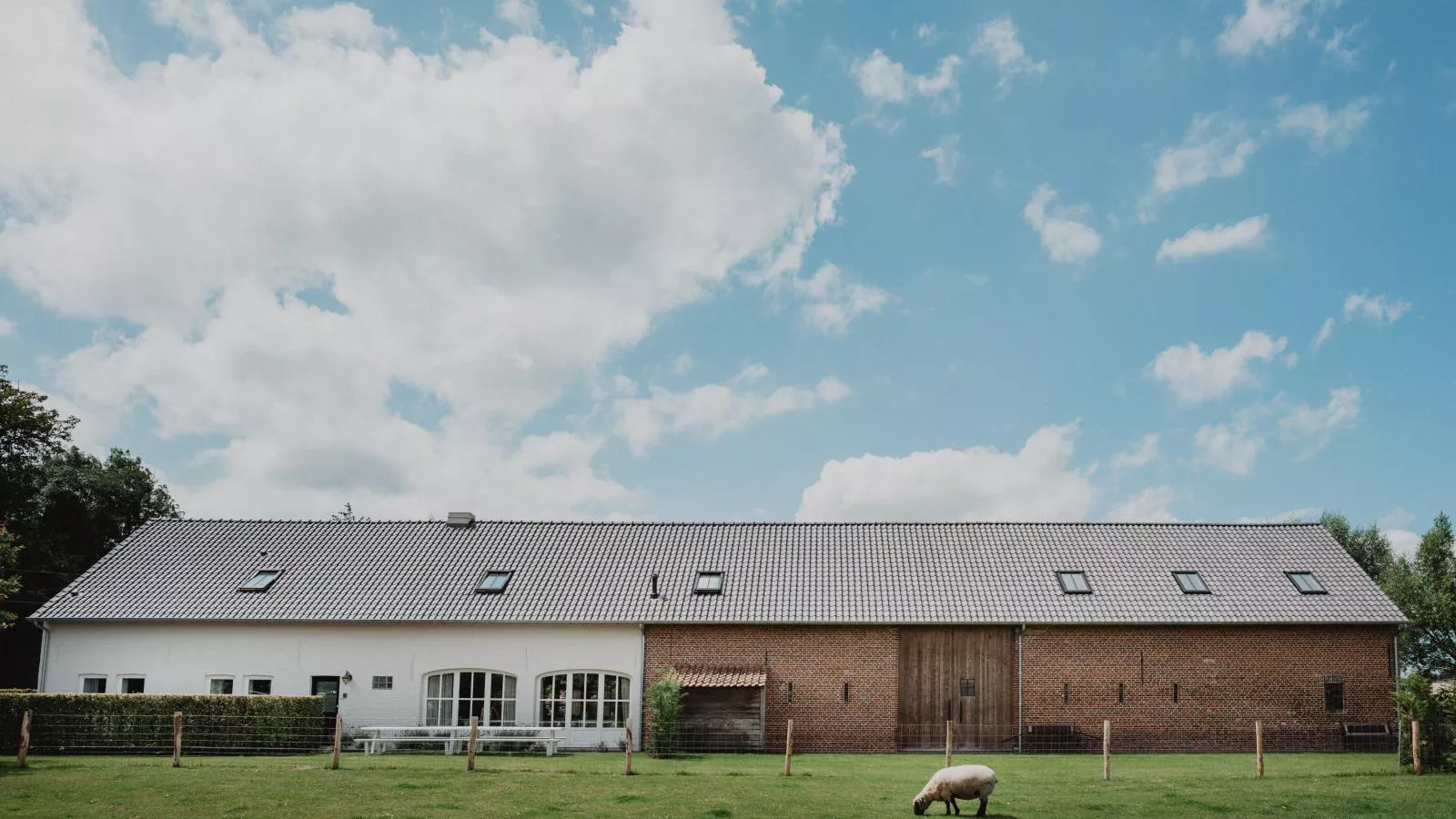 Caprice - Maldegem-Exterior summer