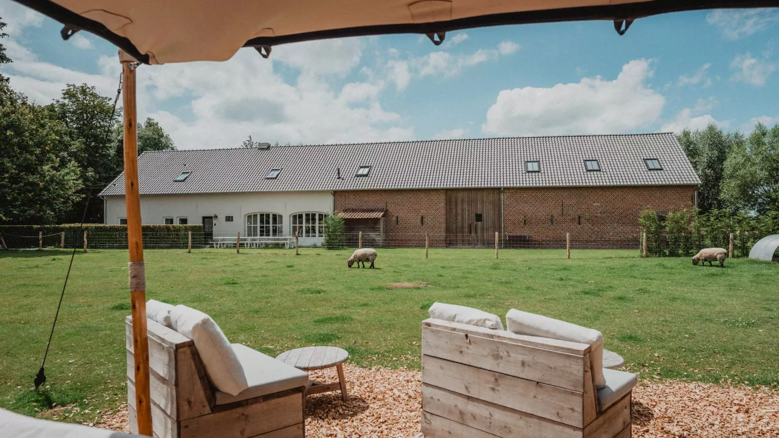 Caprice - Maldegem-Exterior summer