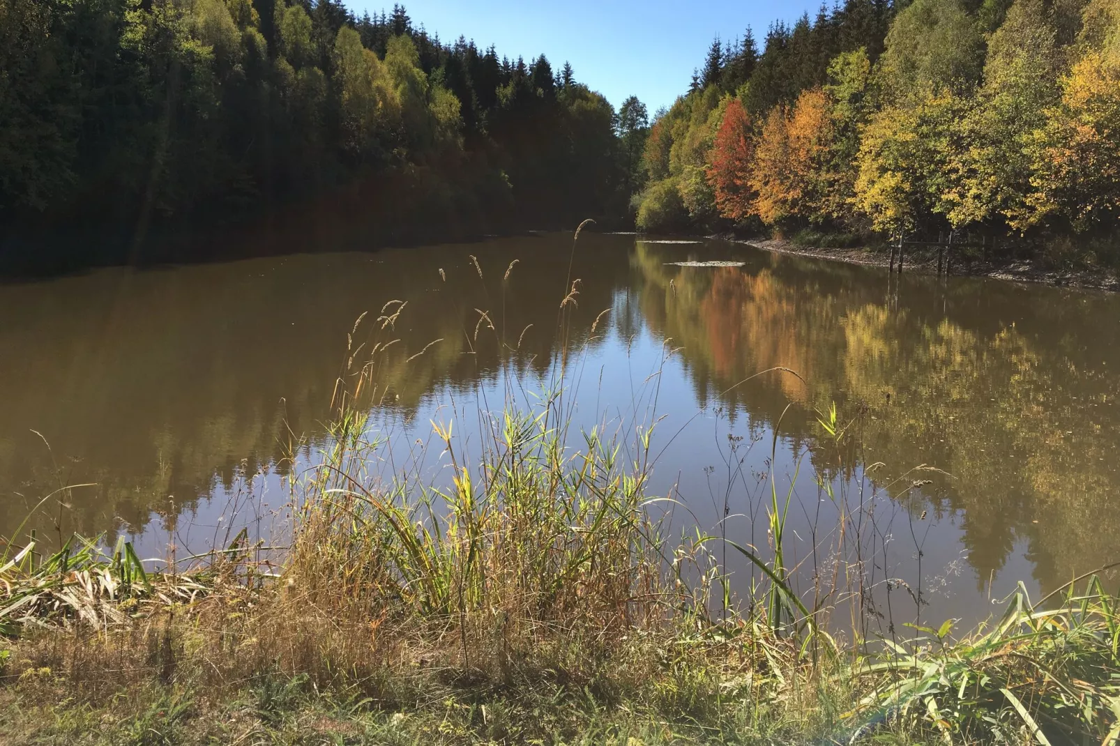 Im Limbachtal-Areas summer 5km