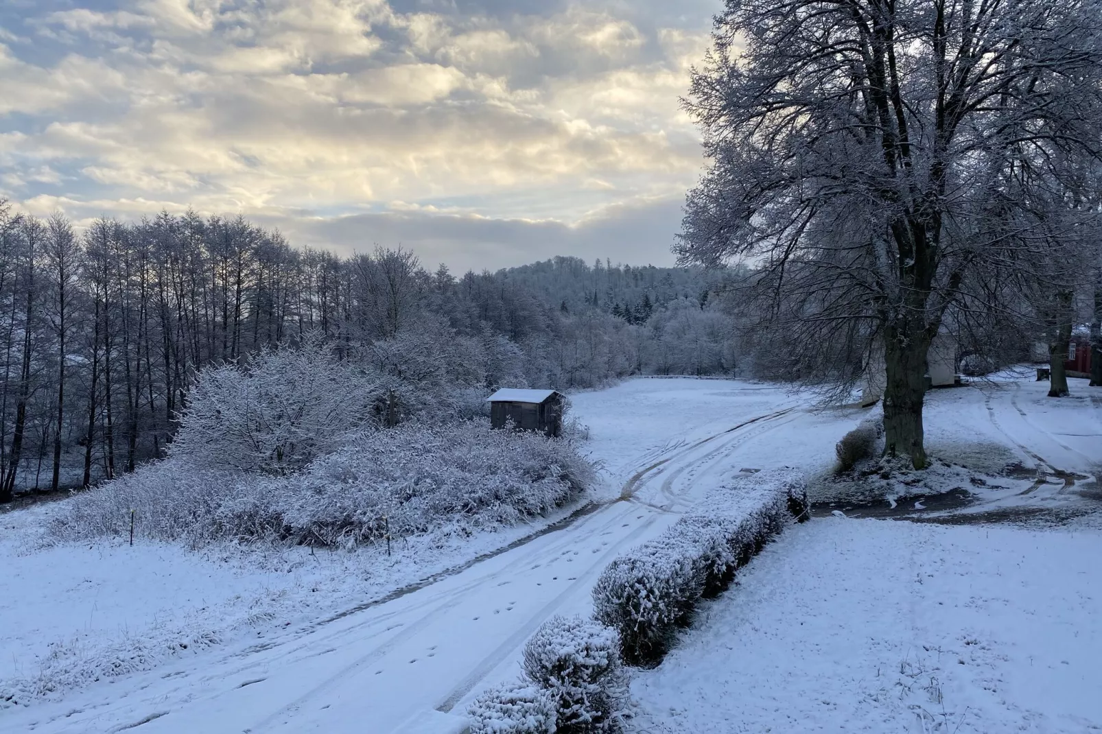 Im Limbachtal-Area winter 1km