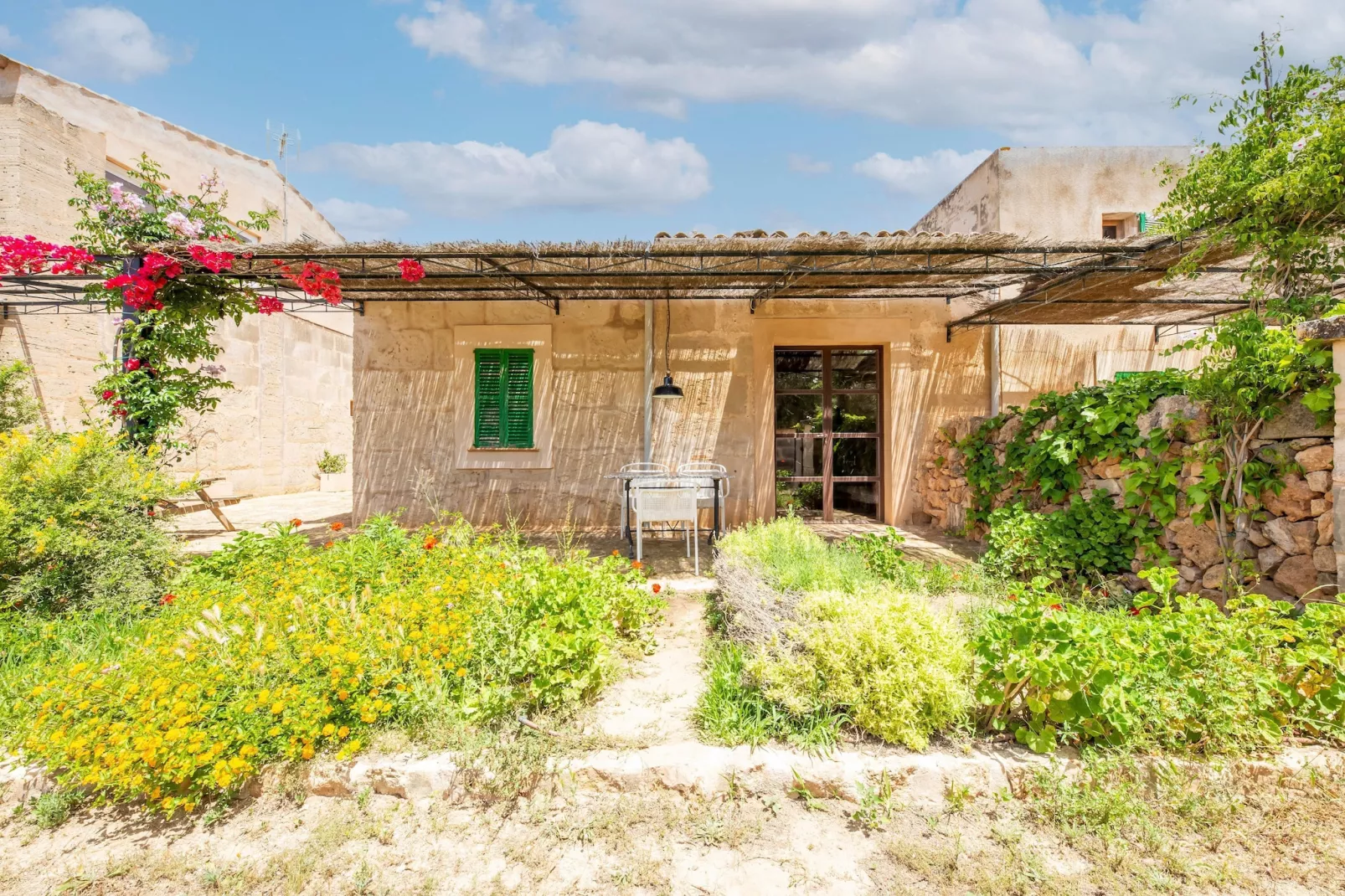 Gallinero-Exterior summer