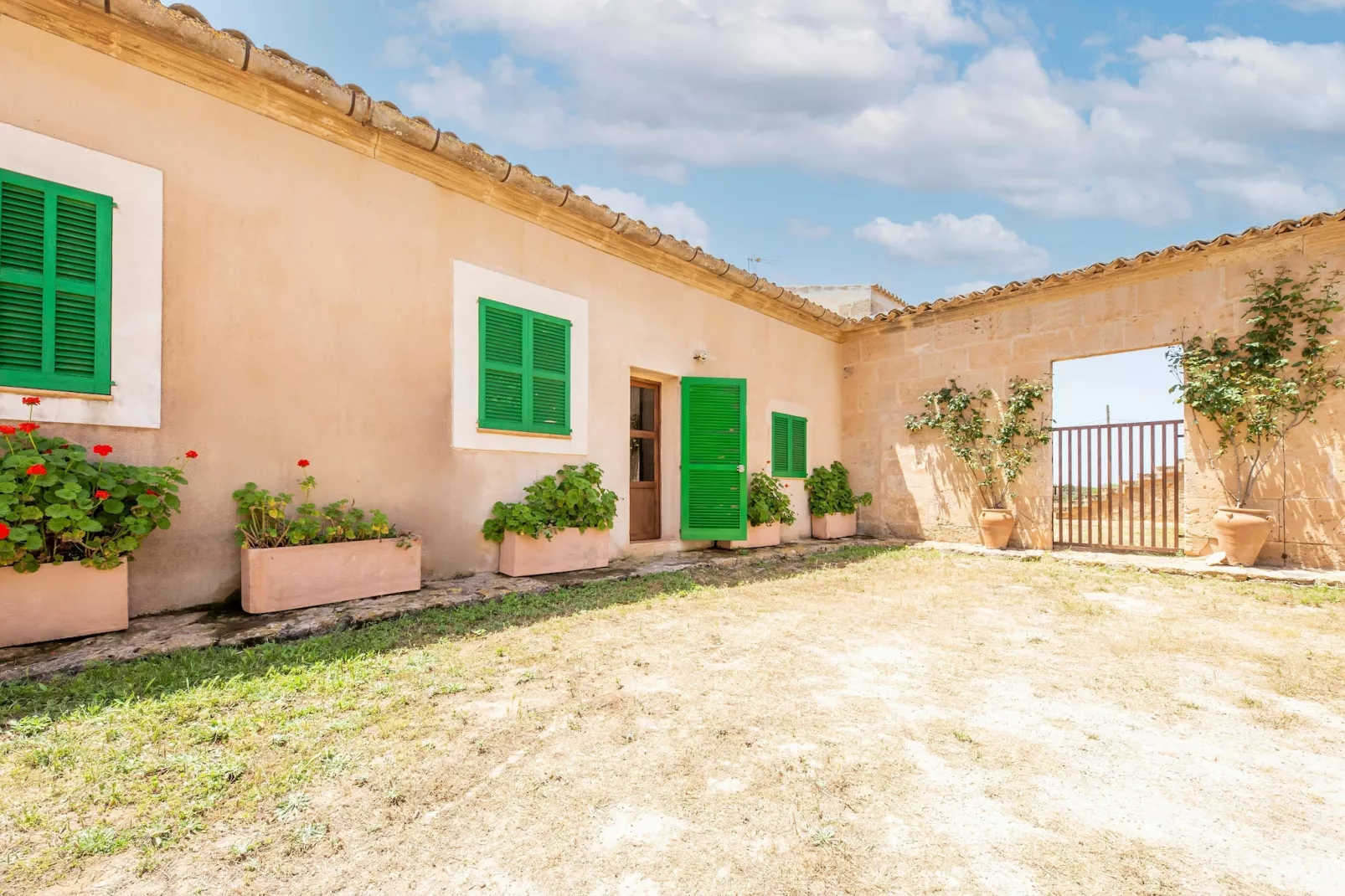 Gallinero-Exterior summer