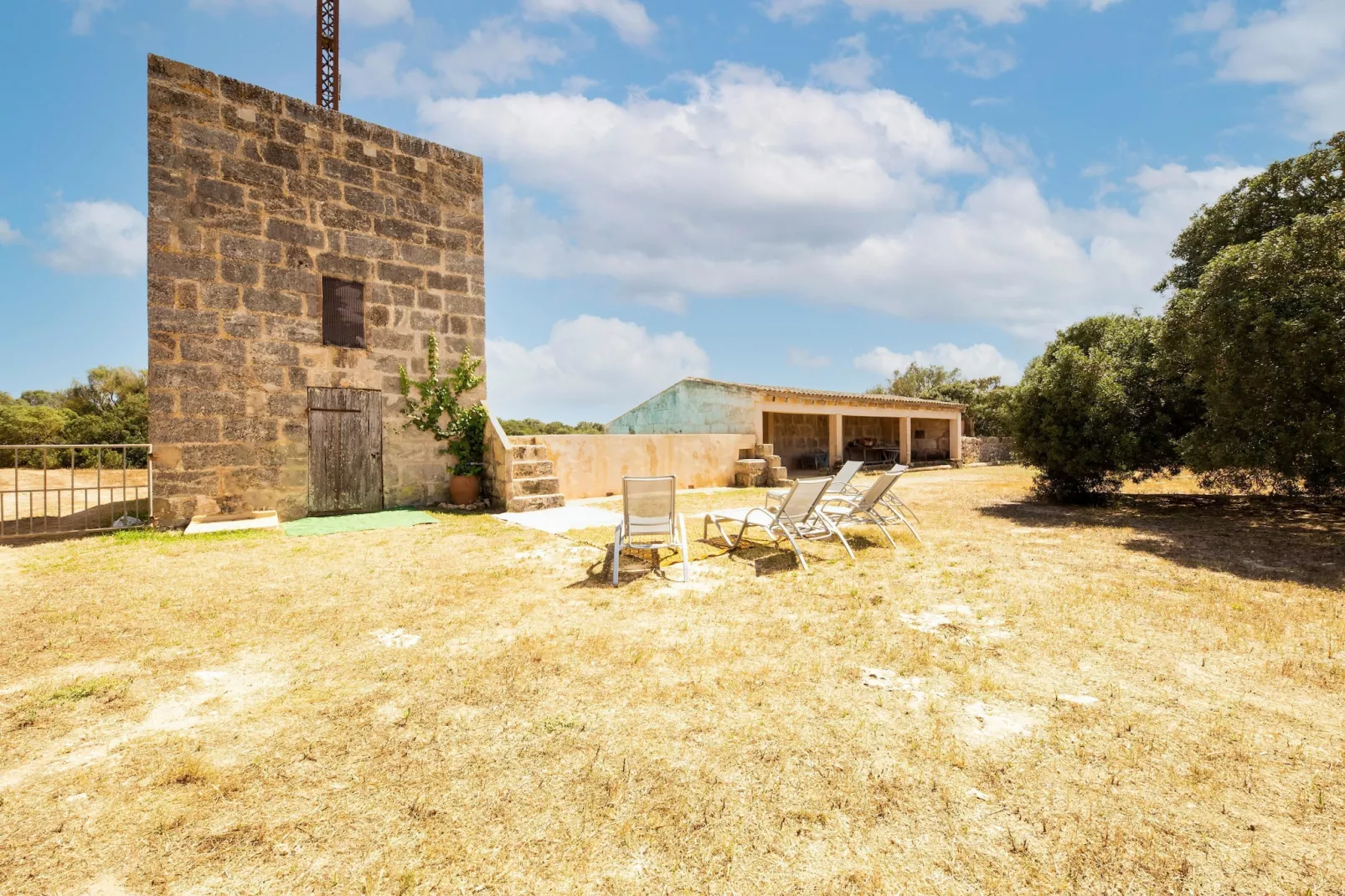 Gallinero-Exterior summer