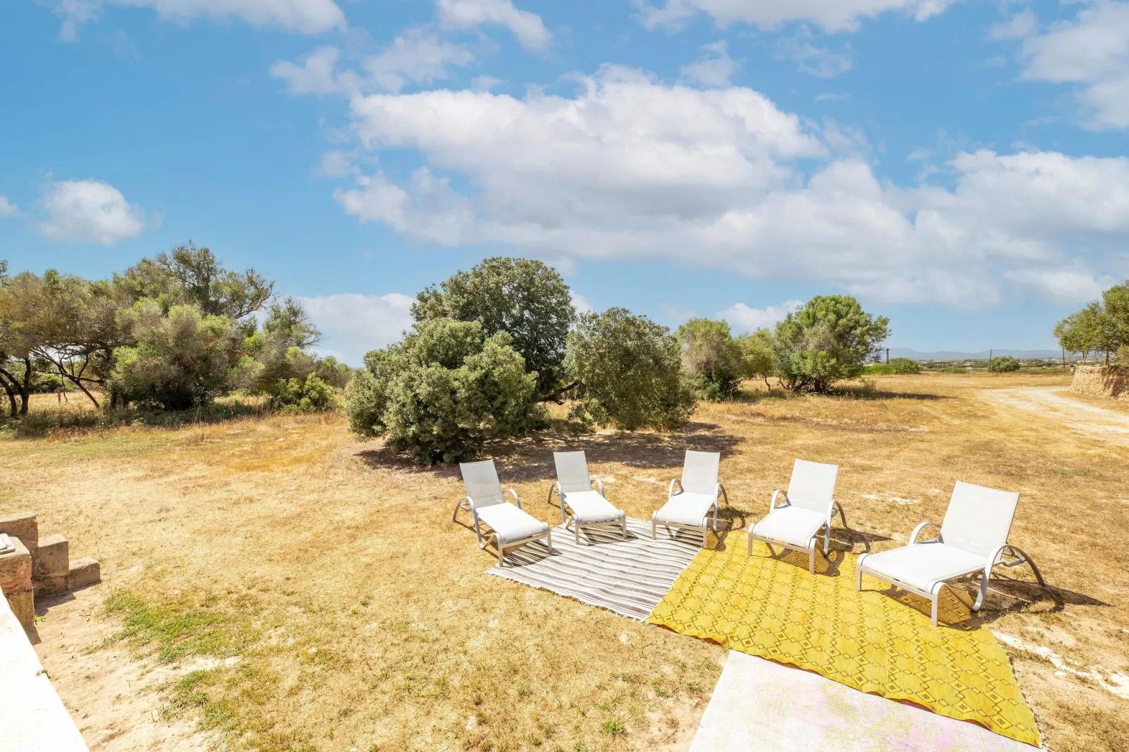 Gallinero-View summer