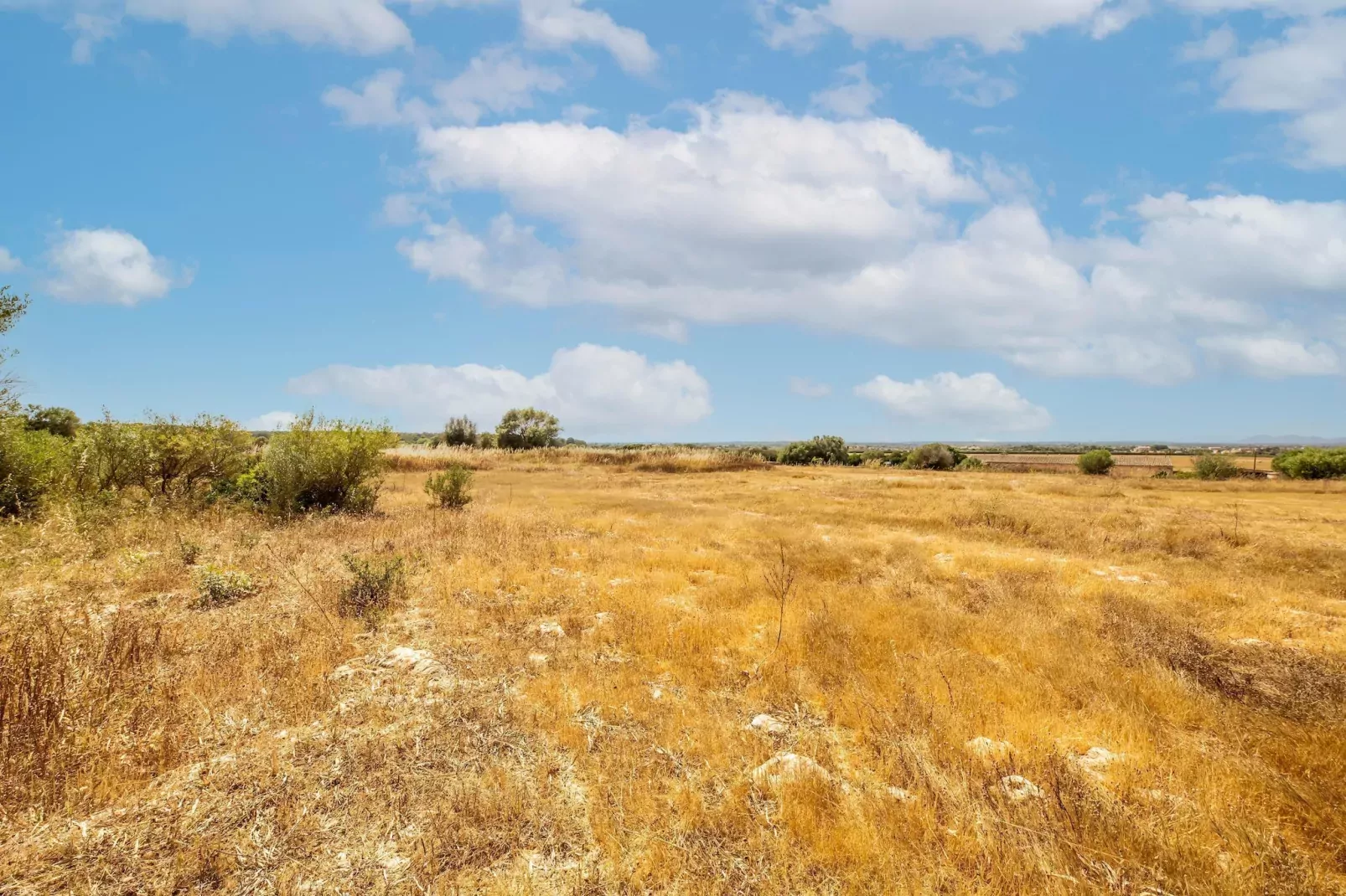 Gallinero-Areas summer 5km