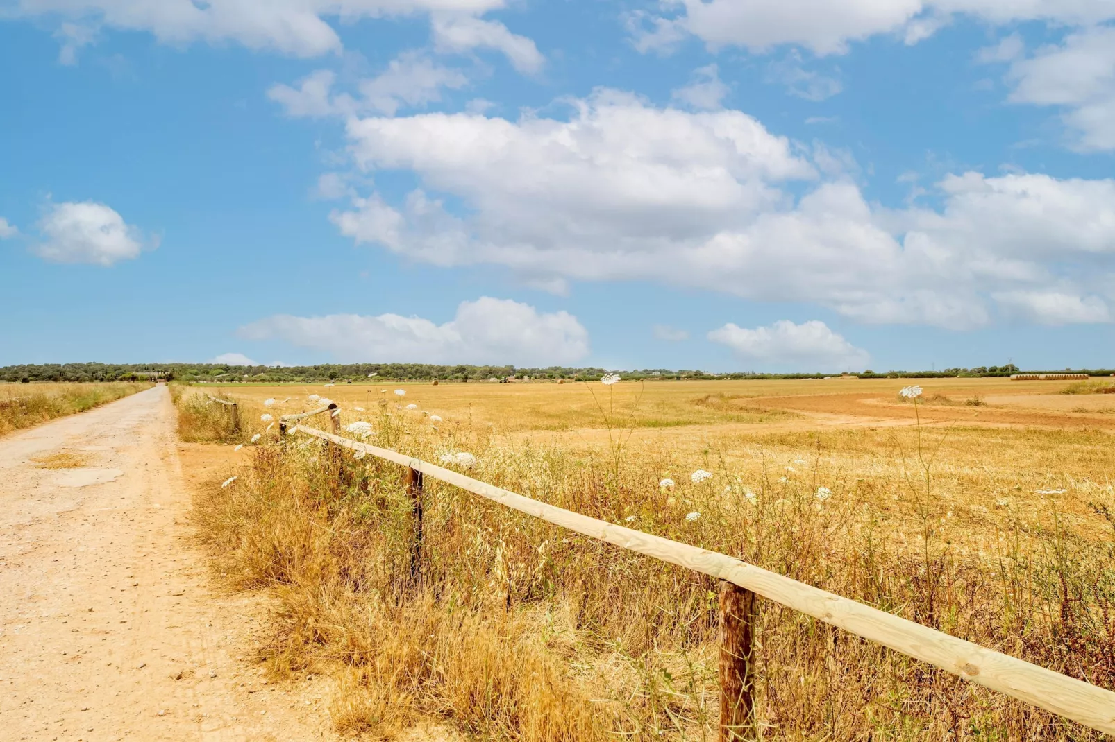 Gallinero-Areas summer 5km