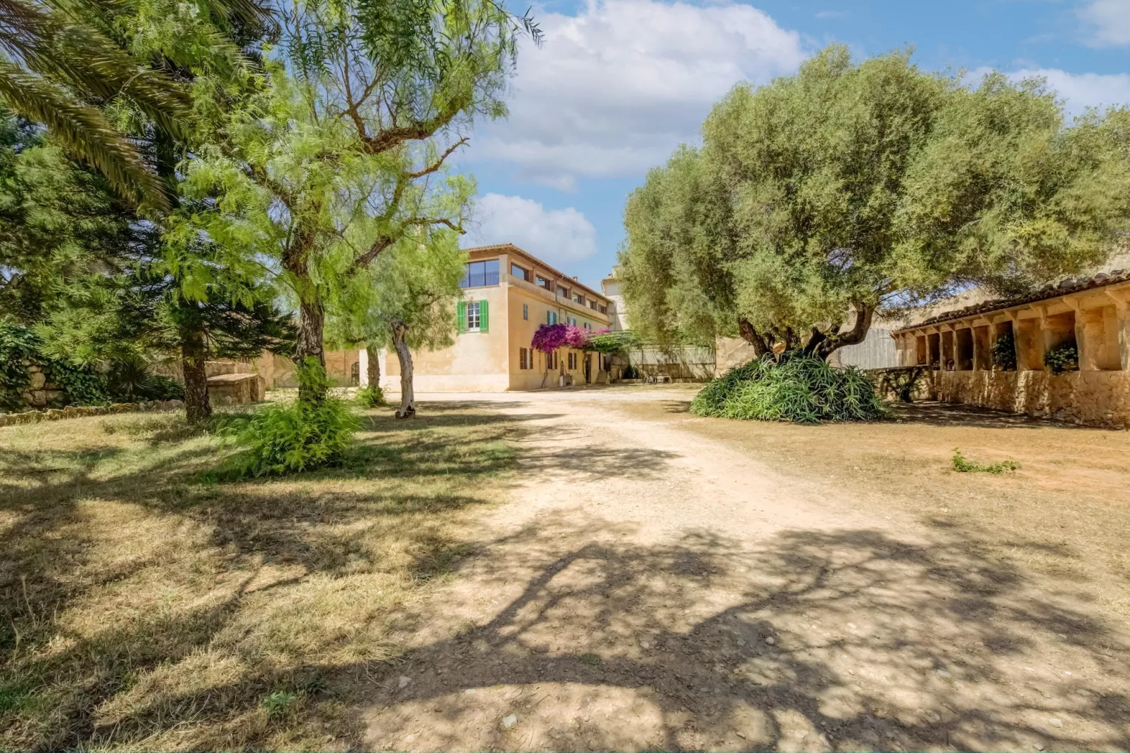 El Taller-Gardens summer