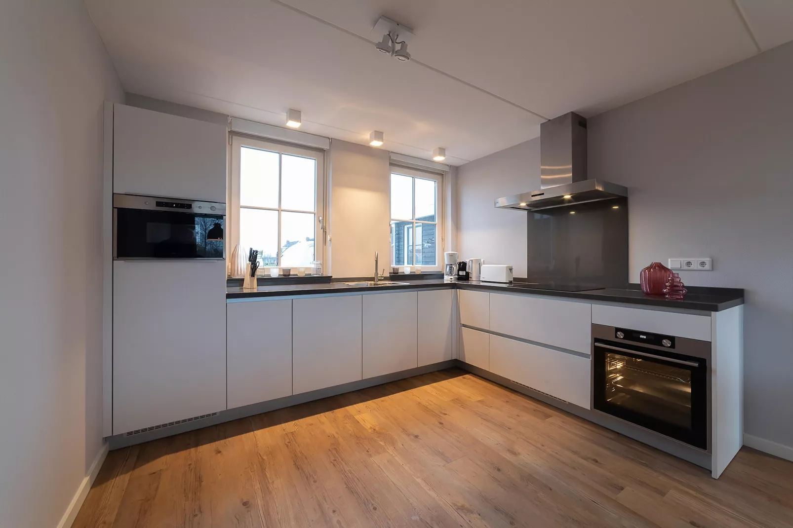 6 persoons vrijstaand met sauna/hond-Kitchen